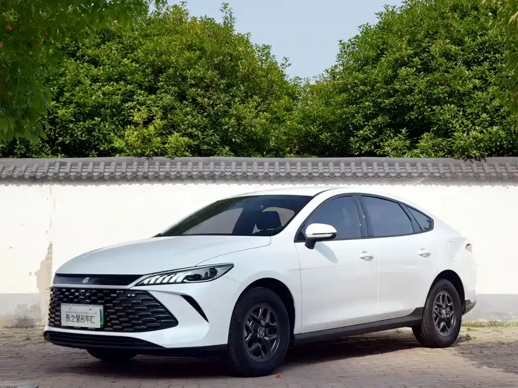 BYD Qin PLUS — фото 1