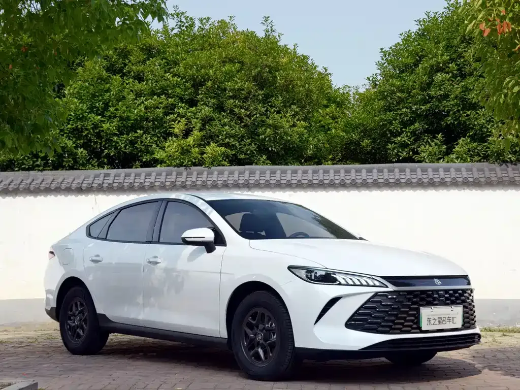 BYD Qin PLUS — фото 4