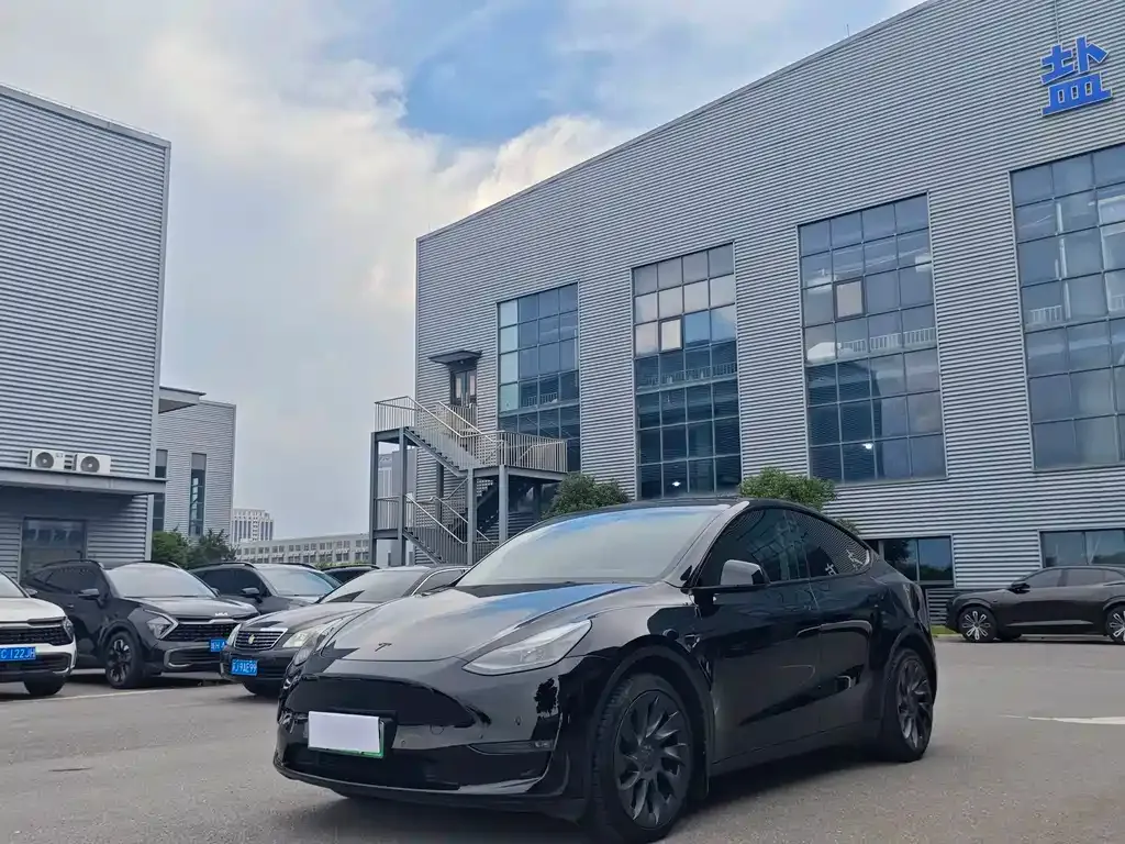 Tesla Model Y — фото 1
