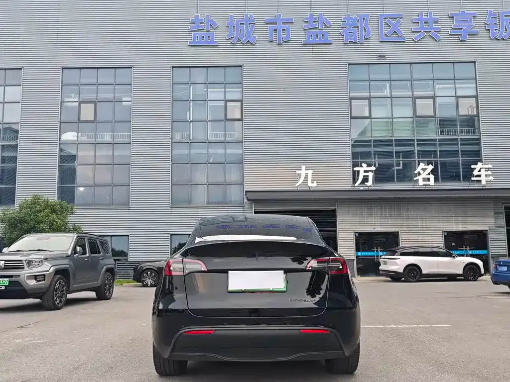 Tesla Model Y — фото 6