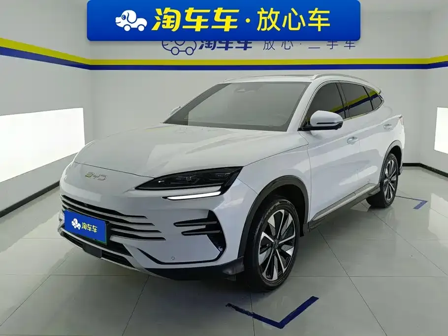 BYD PLUS New Energy — фото 1
