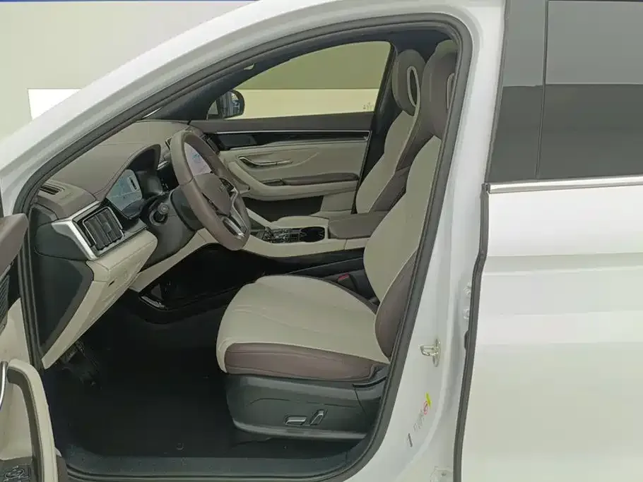 BYD PLUS New Energy — фото 2