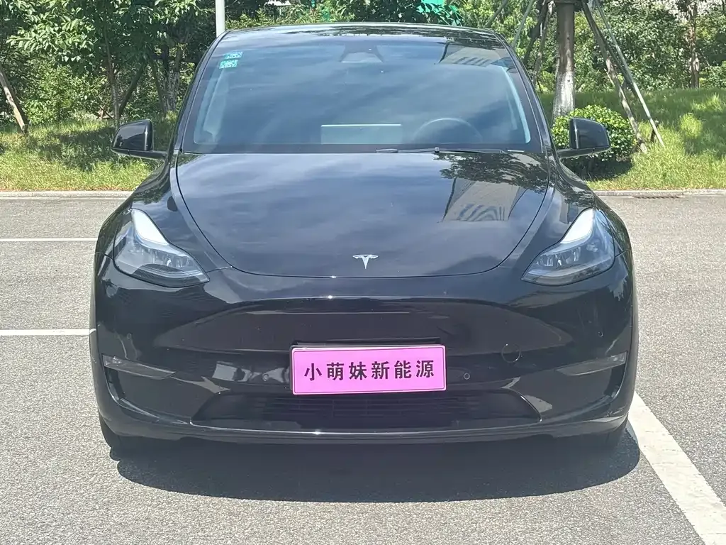 Tesla Model Y — фото 10