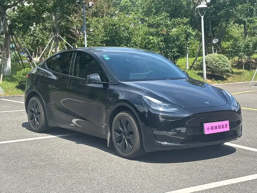 Tesla Model Y — фото 8