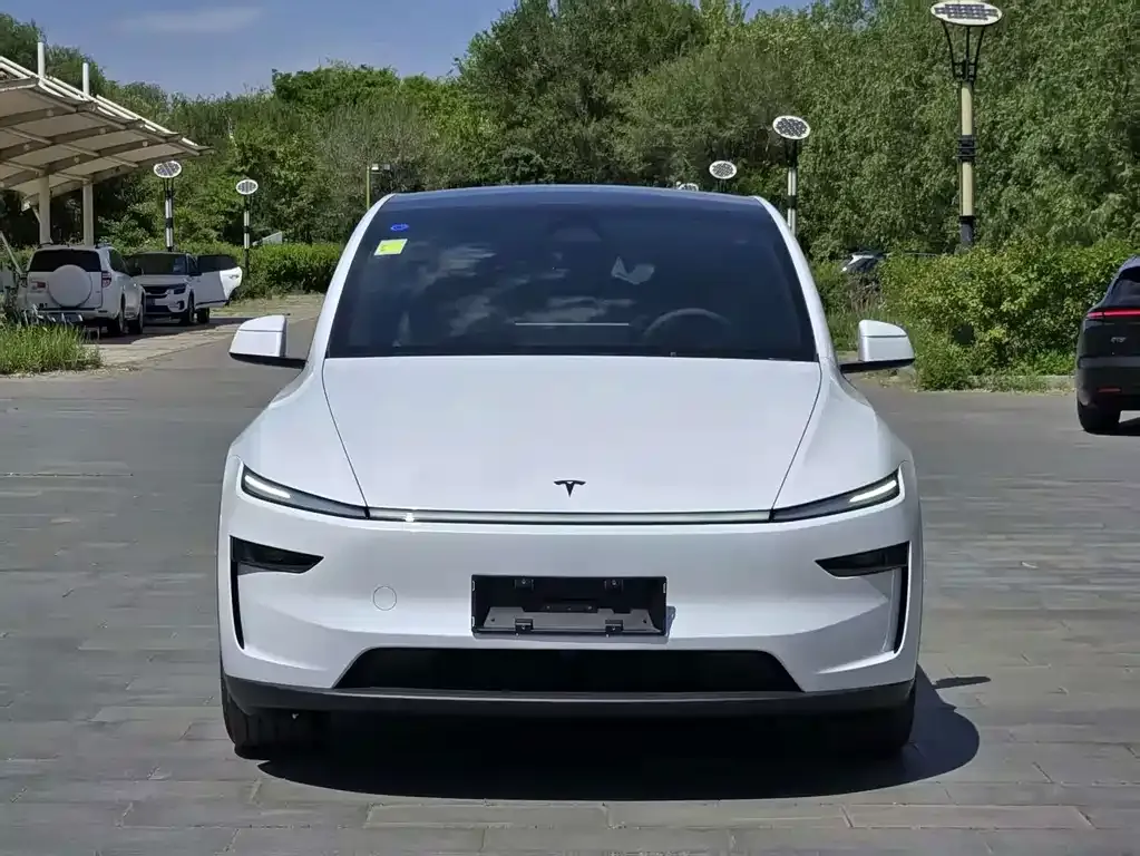 Tesla Model Y — фото 2