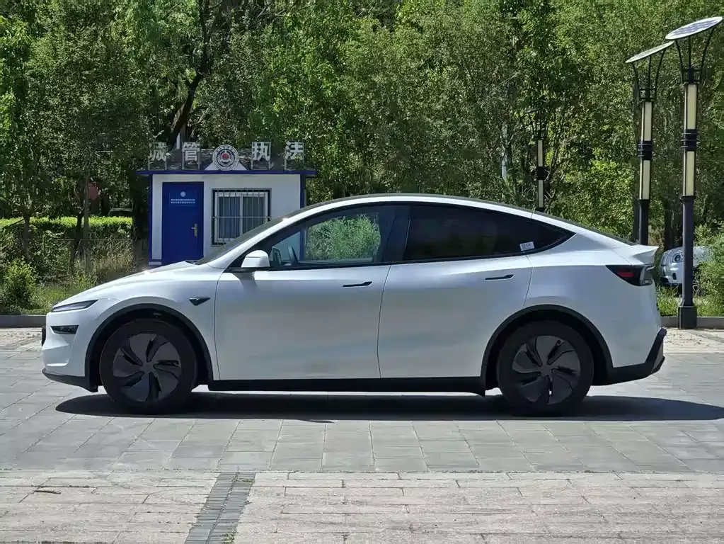 Tesla Model Y — фото 10
