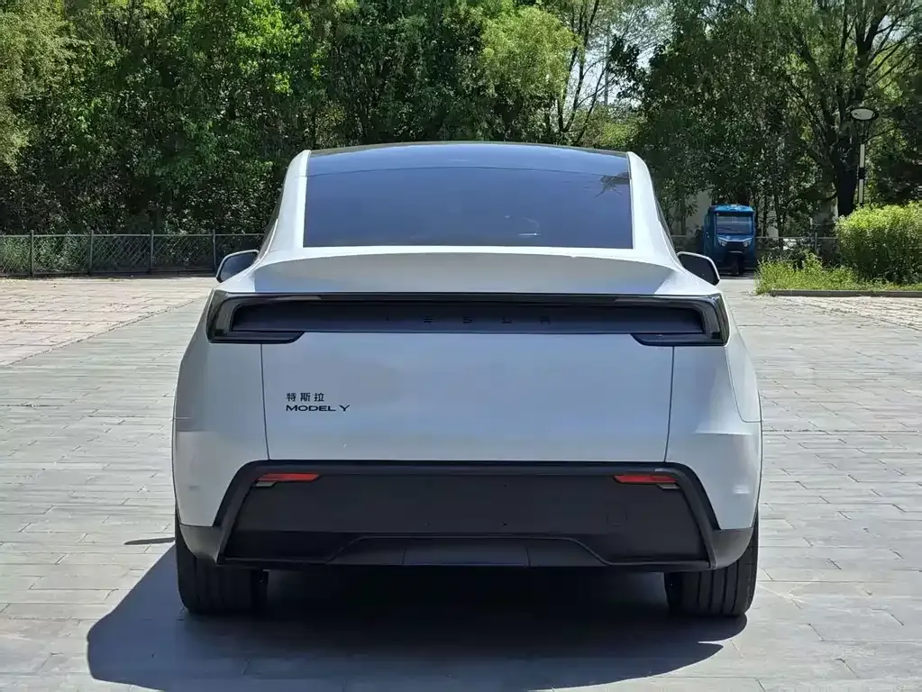 Tesla Model Y — фото 8