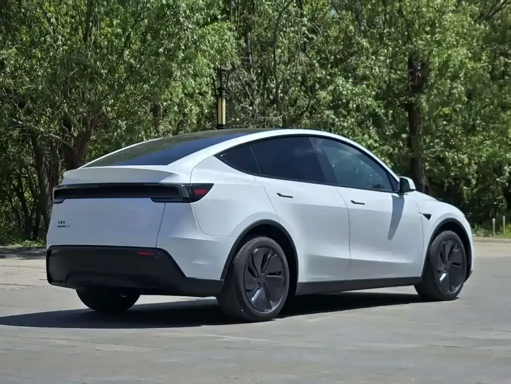 Tesla Model Y — фото 7