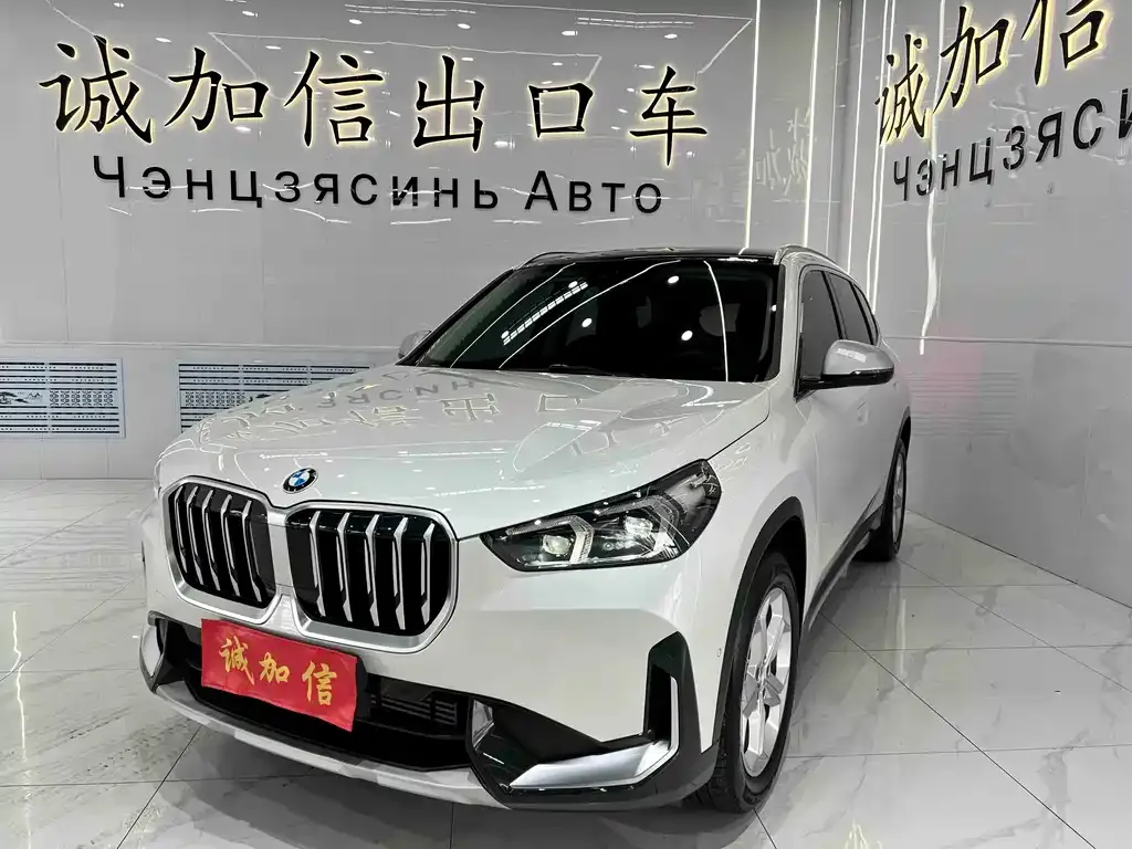 BMW X1 — фото 1