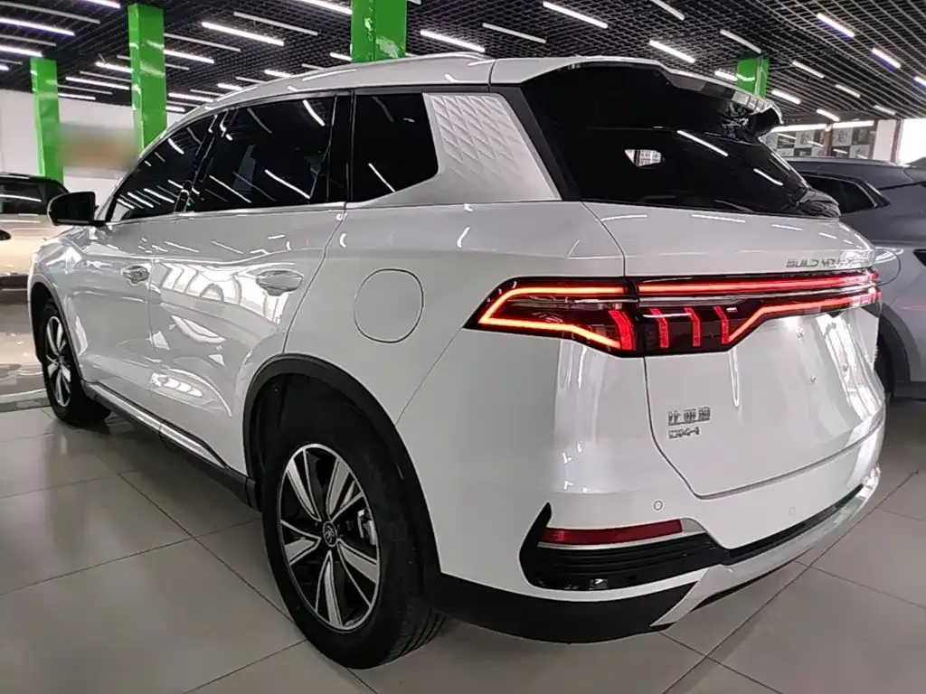BYD Pro New Energy — фото 9