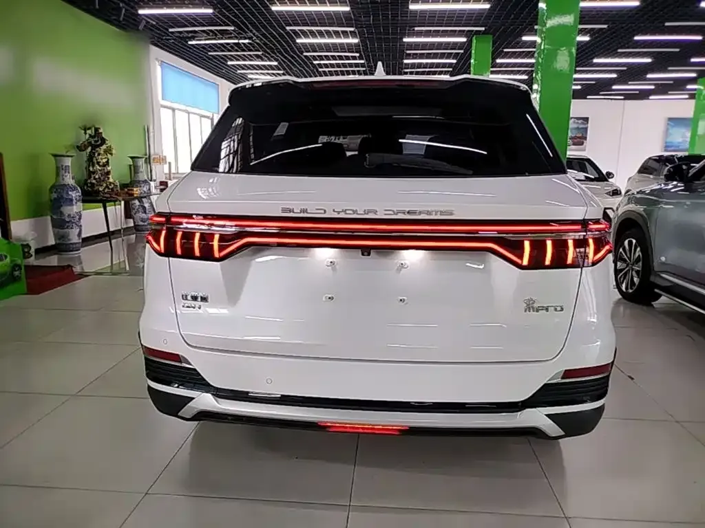 BYD Pro New Energy — фото 7