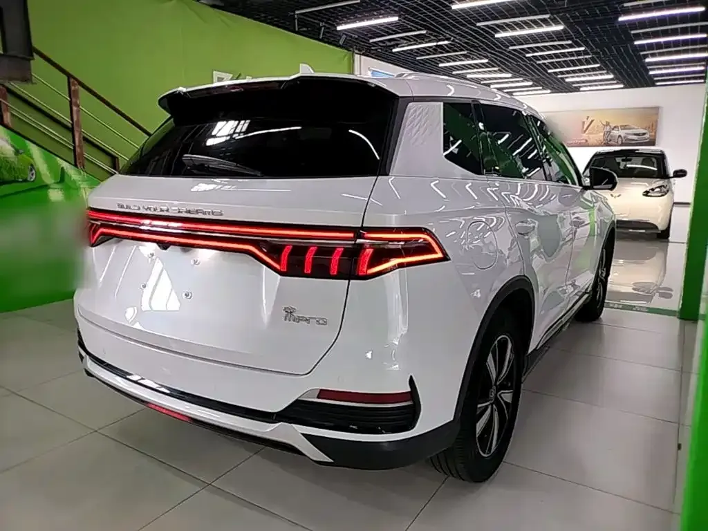 BYD Pro New Energy — фото 2