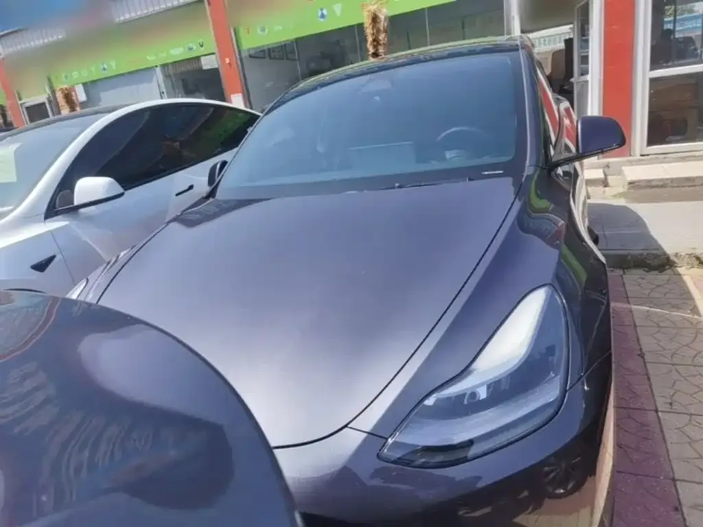 Tesla Model Y — фото 7