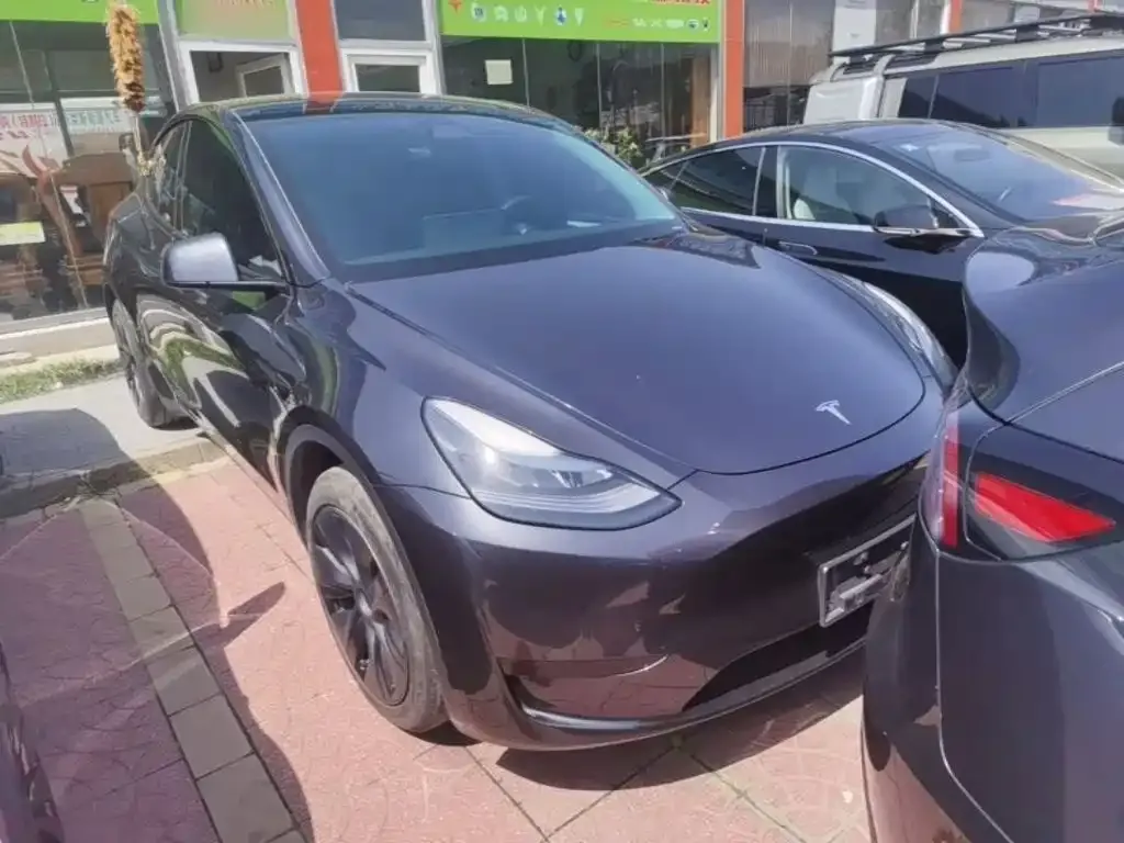 Tesla Model Y — фото 5