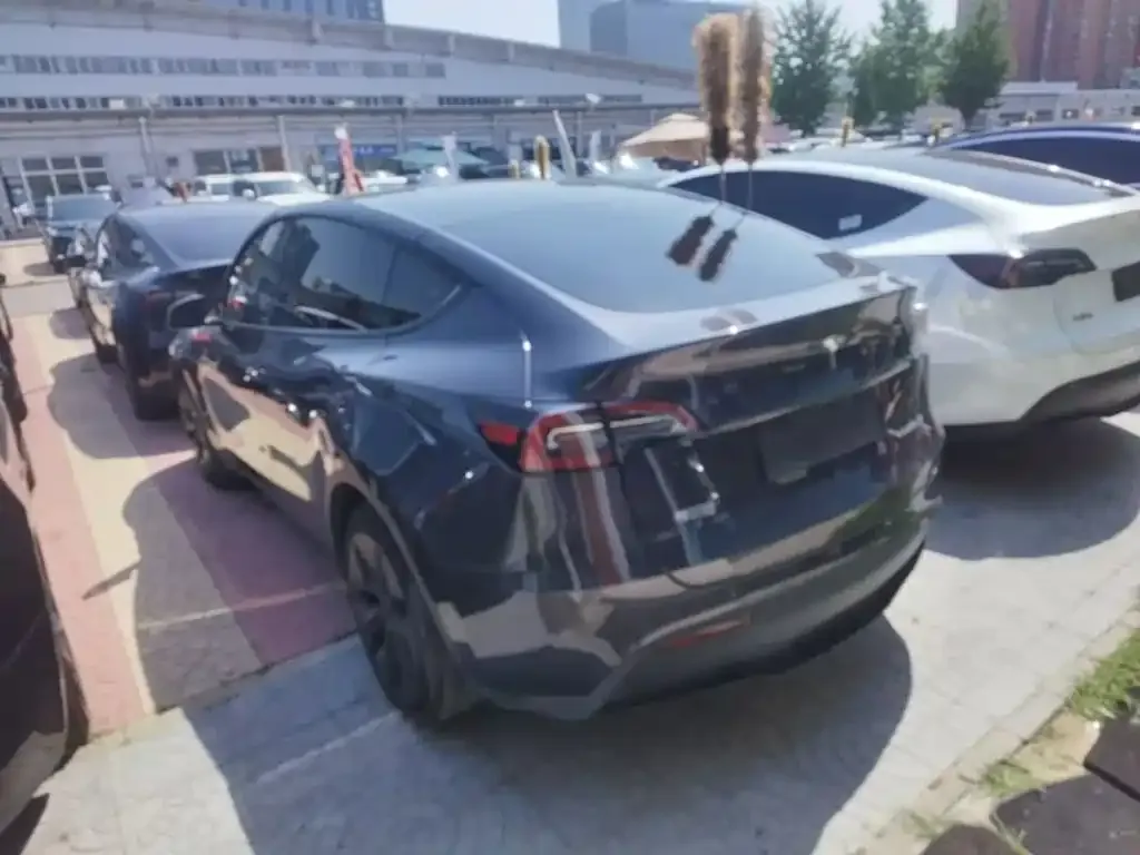 Tesla Model Y — фото 2