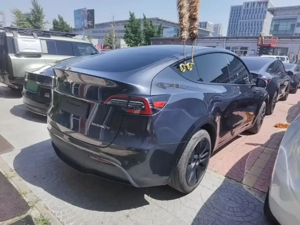 Tesla Model Y — фото 6