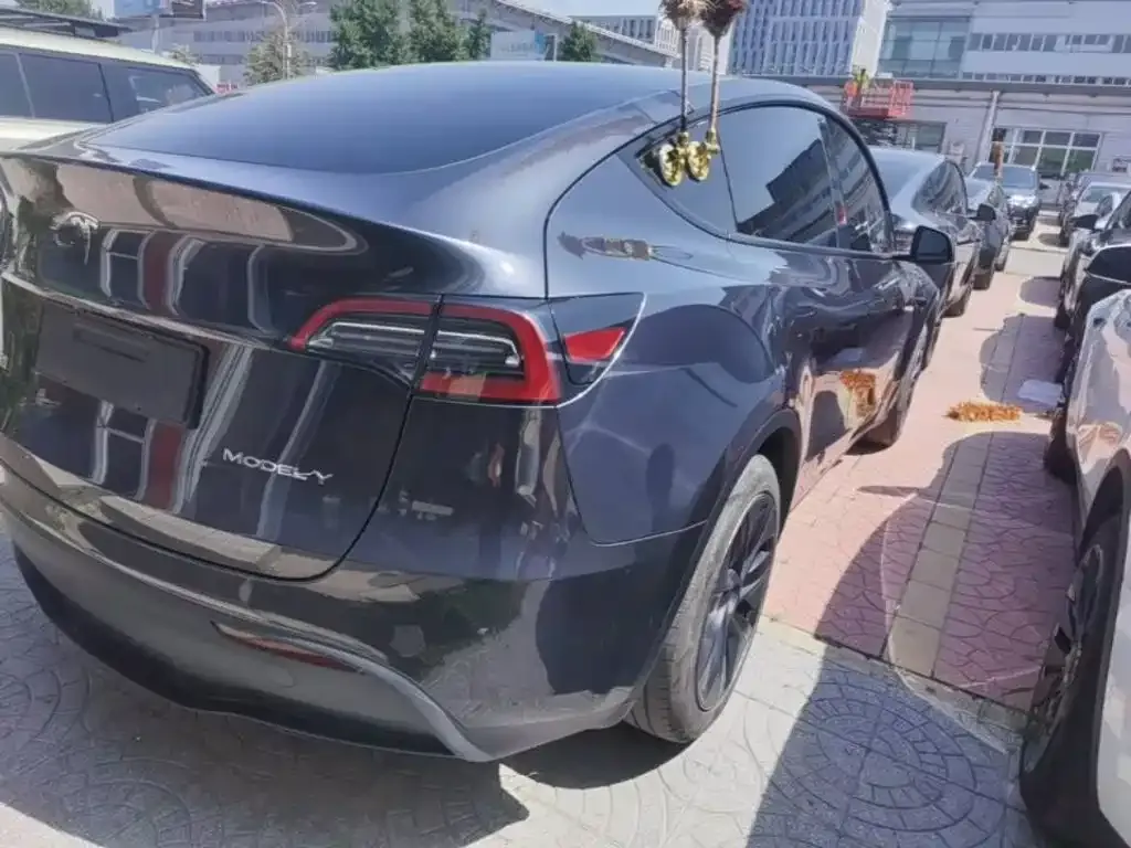 Tesla Model Y — фото 9