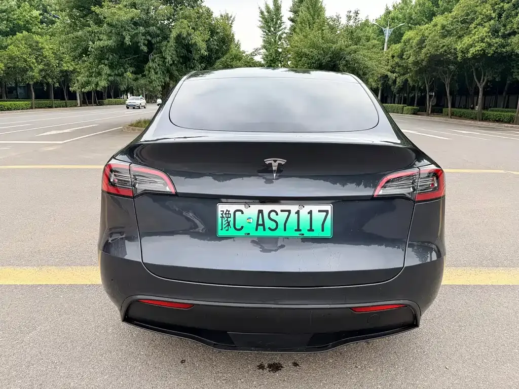 Tesla Model Y — фото 9
