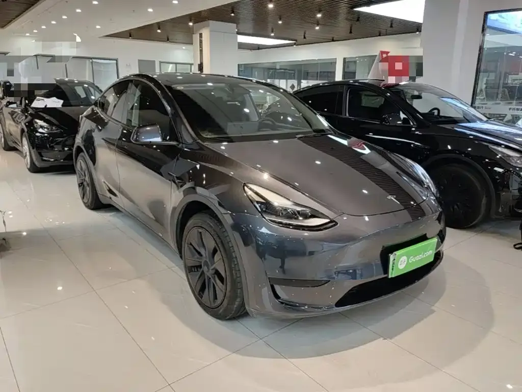 Tesla Model Y — фото 4