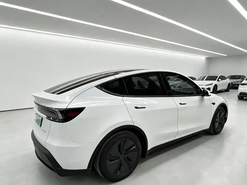 Tesla Model Y — фото 5