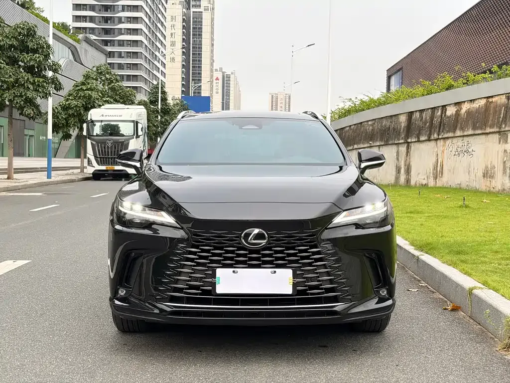 Lexus RX — фото 6