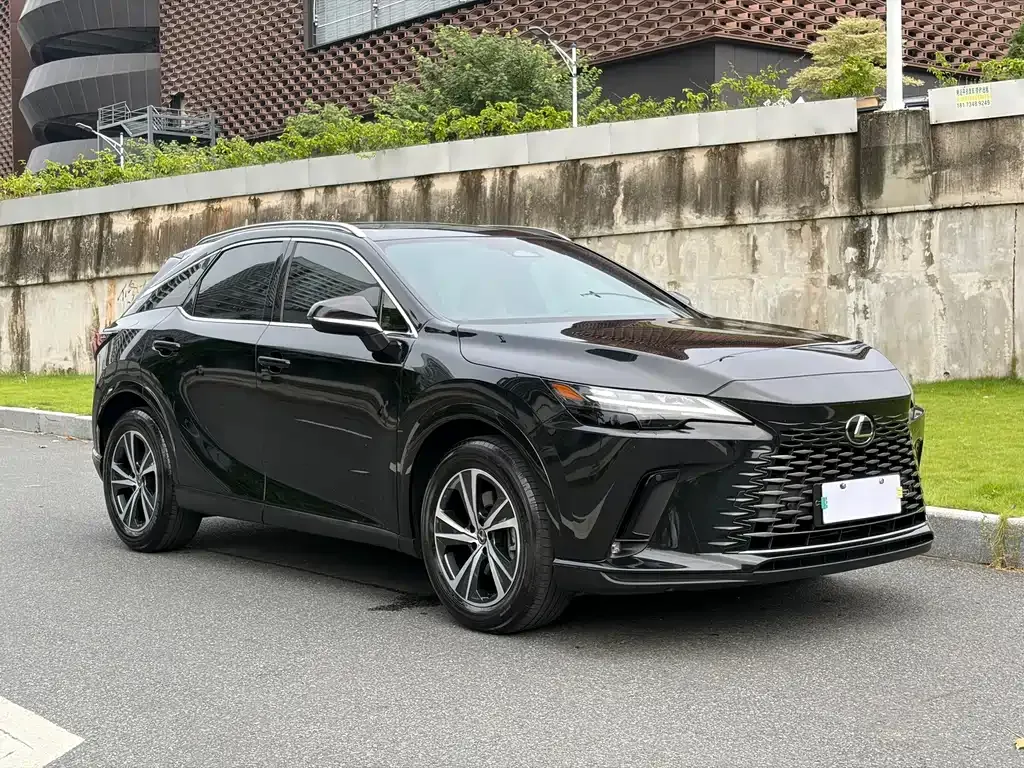 Lexus RX — фото 7