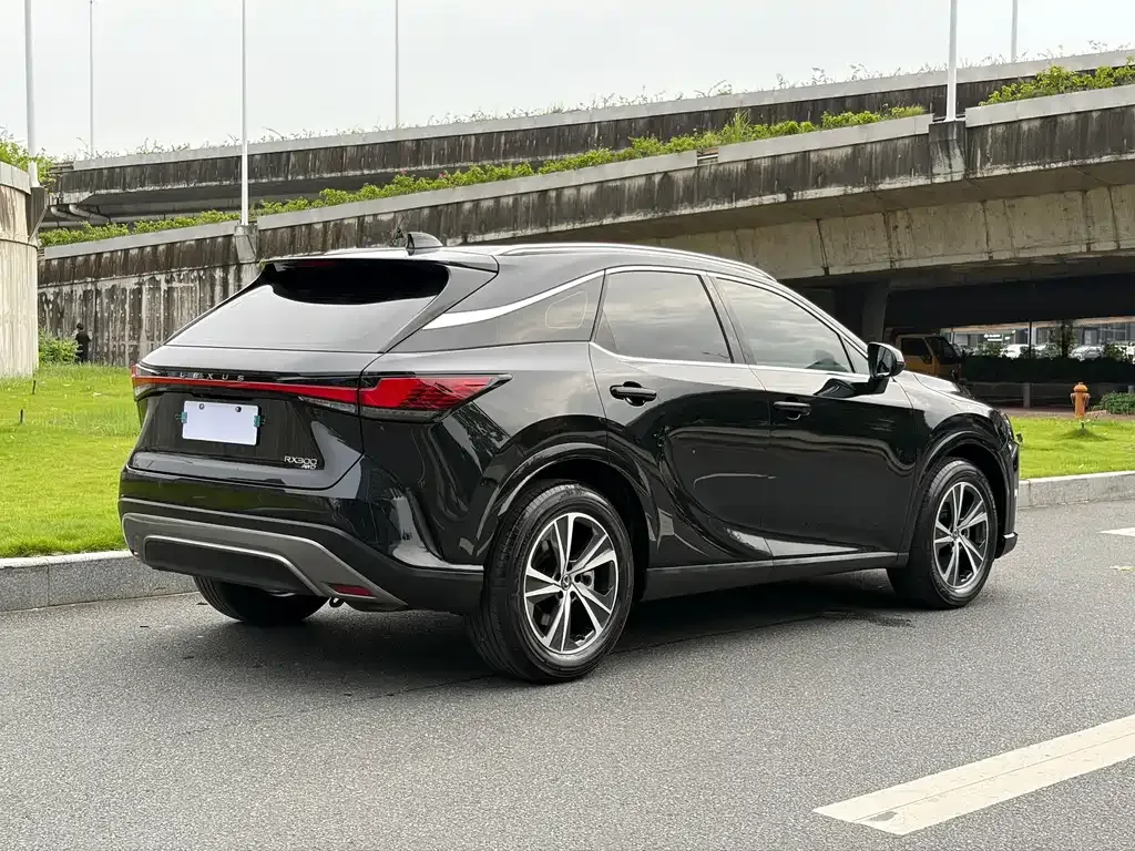 Lexus RX — фото 10