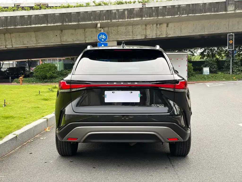 Lexus RX — фото 4