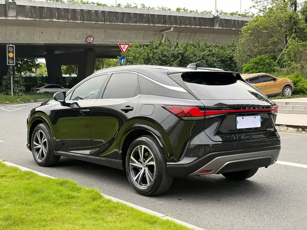 Lexus RX — фото 9