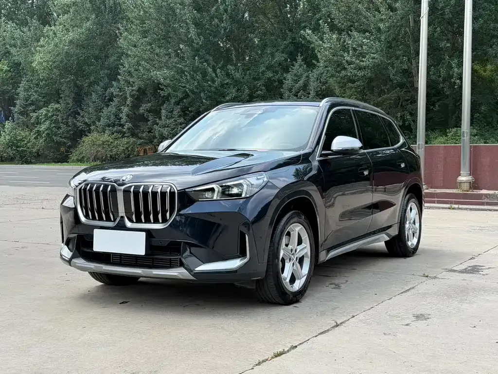 BMW X1 — фото 1