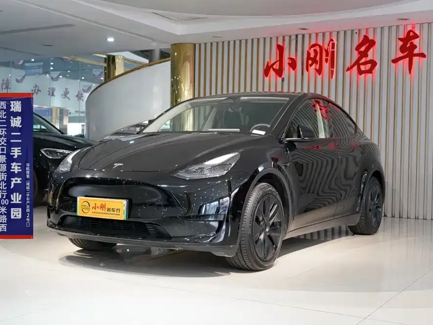 Tesla Model Y — фото 1