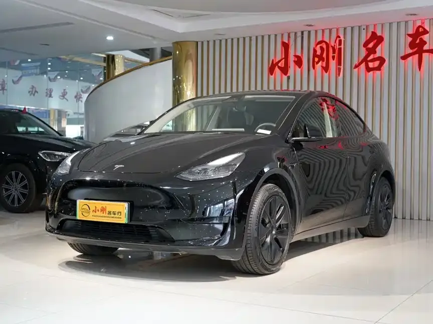 Tesla Model Y — фото 9