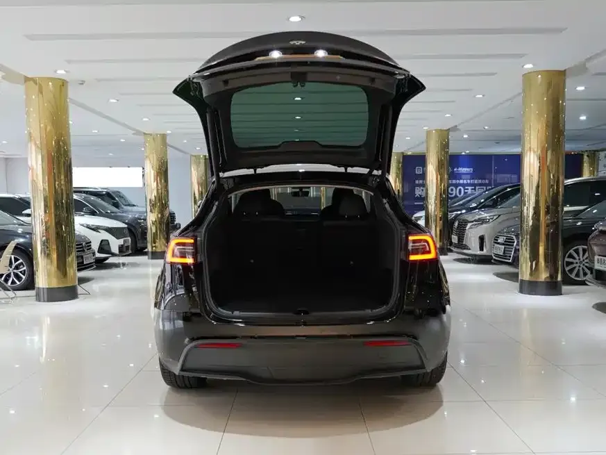 Tesla Model Y — фото 10