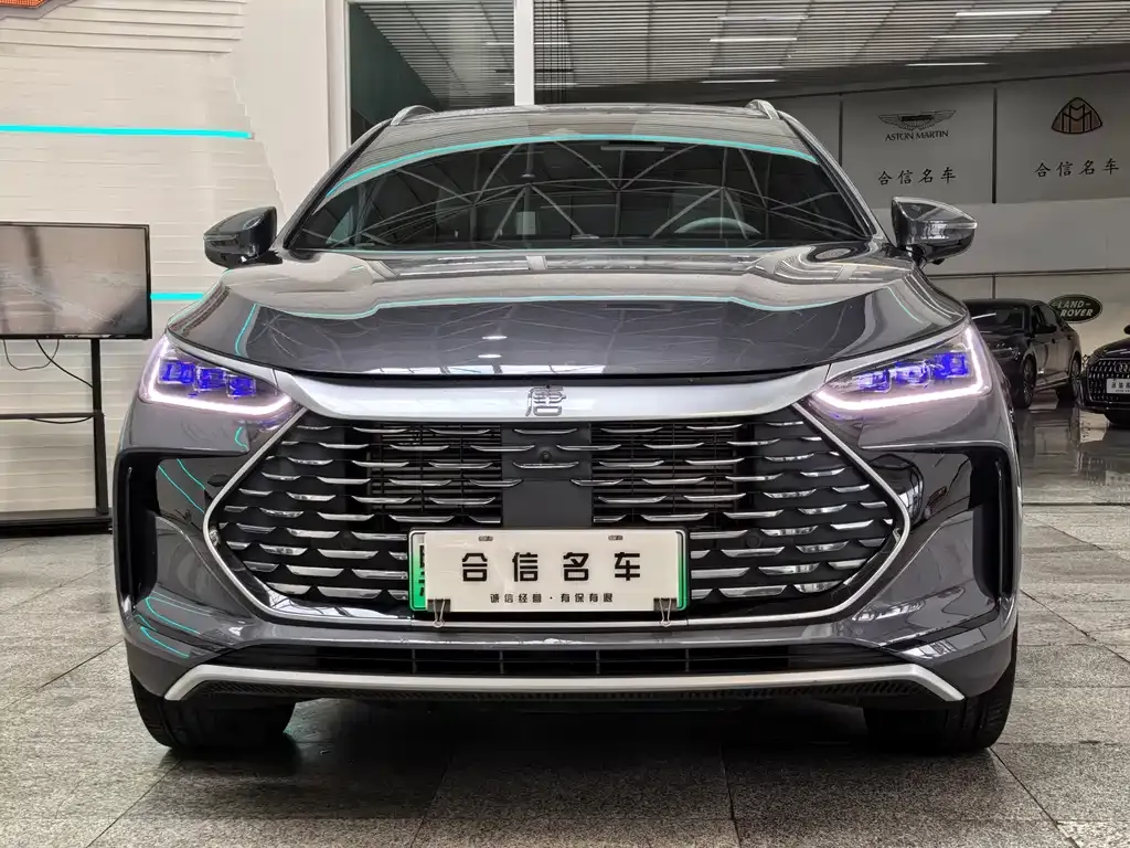 BYD Tang New Energy — фото 6