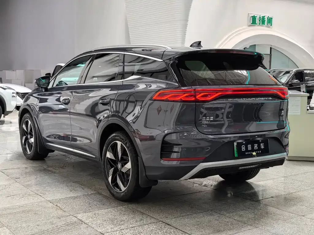 BYD Tang New Energy — фото 8