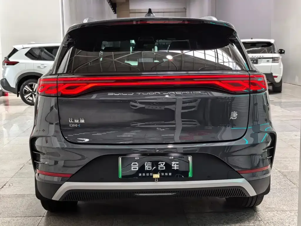 BYD Tang New Energy — фото 2