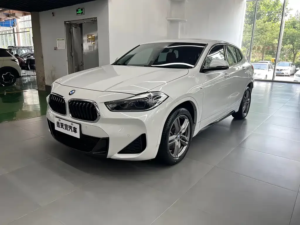 BMW X2 — фото 1