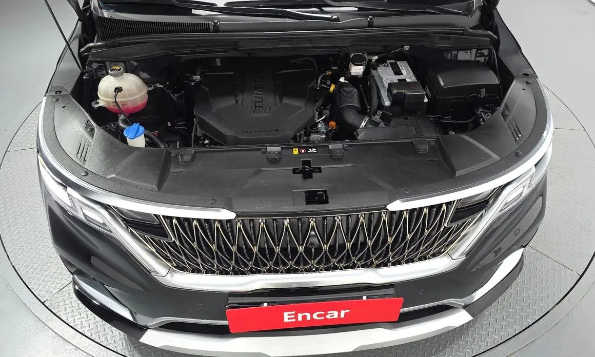 Kia Carnival — фото 10