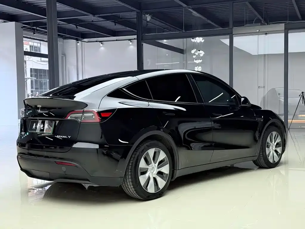 Tesla Model Y — фото 9