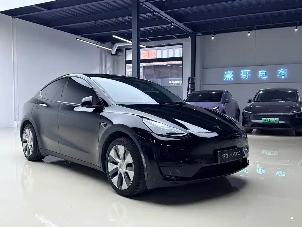 Tesla Model Y — фото 10