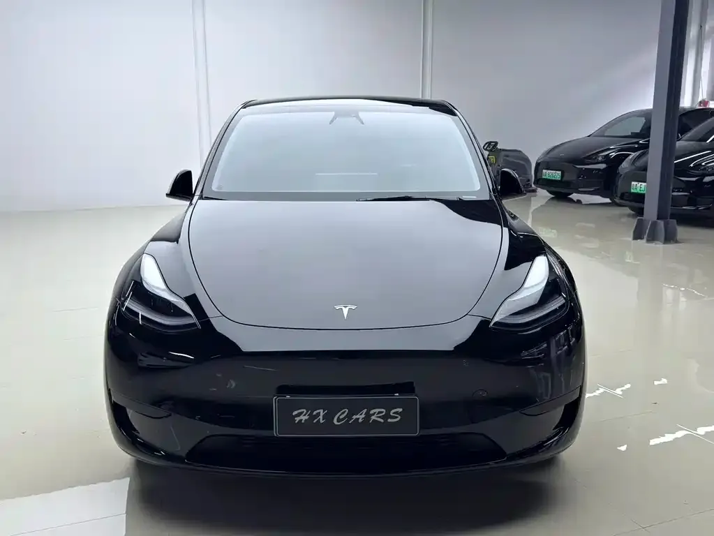 Tesla Model Y — фото 2