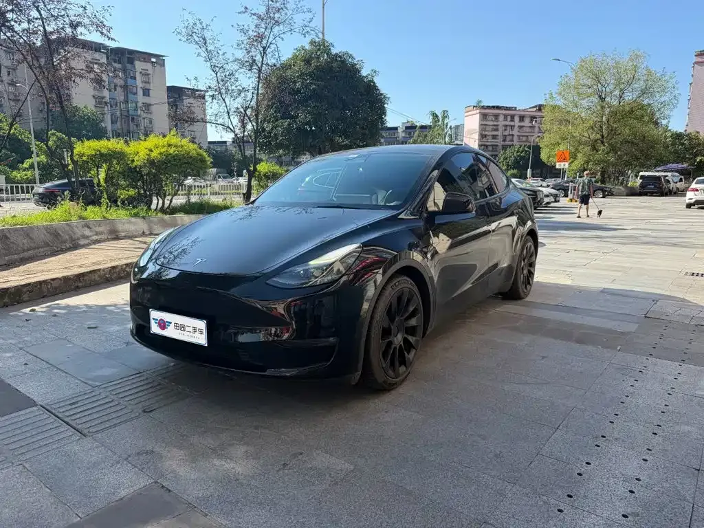 Tesla Model Y — фото 1