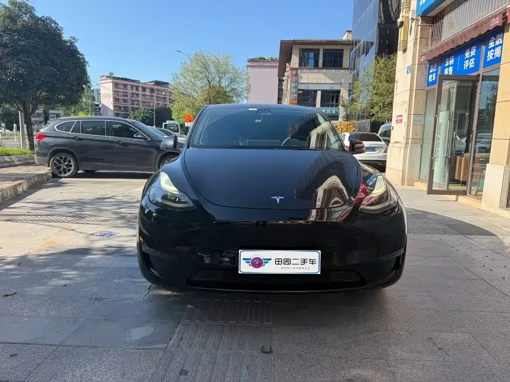 Tesla Model Y — фото 8