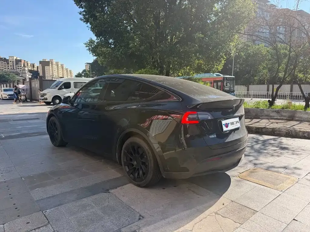 Tesla Model Y — фото 3