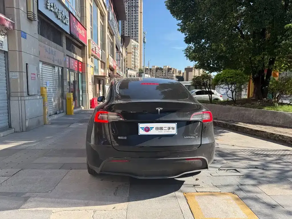 Tesla Model Y — фото 10