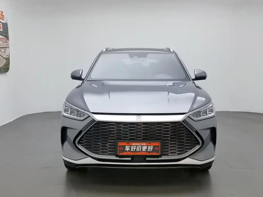 BYD PLUS New Energy — фото 4