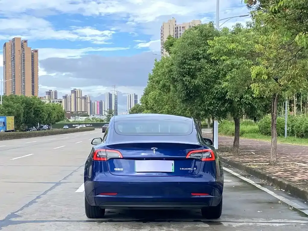 Tesla Model 3 — фото 3