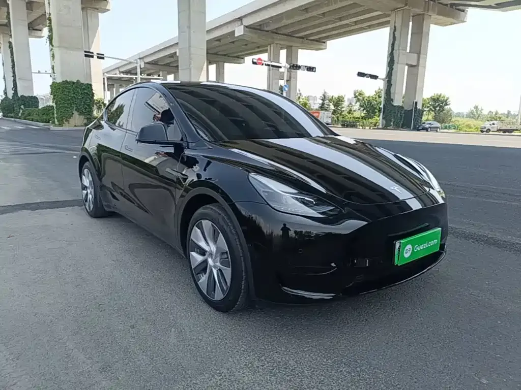 Tesla Model Y — фото 8