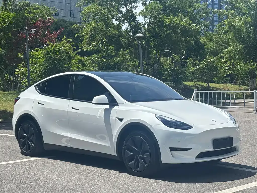 Tesla Model Y — фото 10