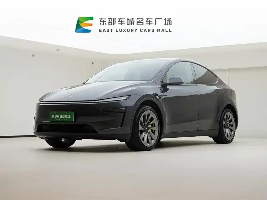Tesla Model Y — фото 1